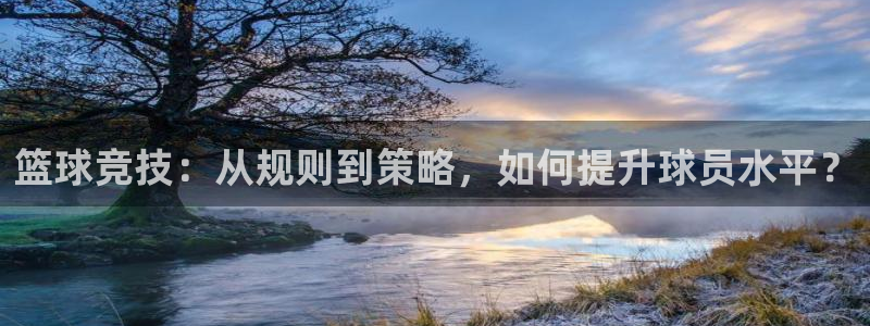 篮球竞技：从规则到策略，如何提升球员水平？
