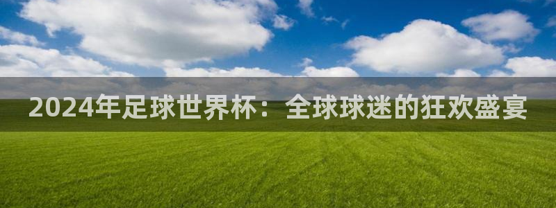 2024年足球世界杯：全球球迷的狂欢盛宴