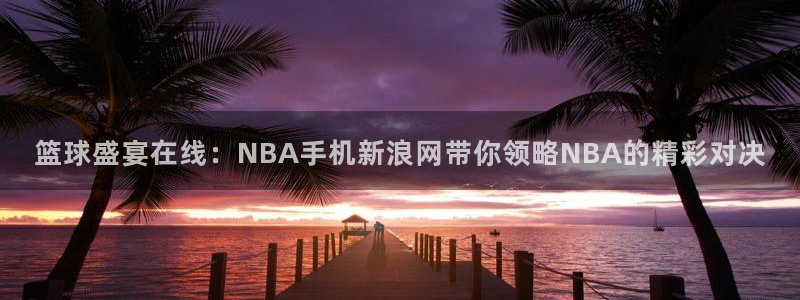 篮球盛宴在线：NBA手机新浪网带你领略NBA的精彩对决