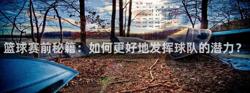 篮球赛前秘籍：如何更好地发挥球队的潜力？