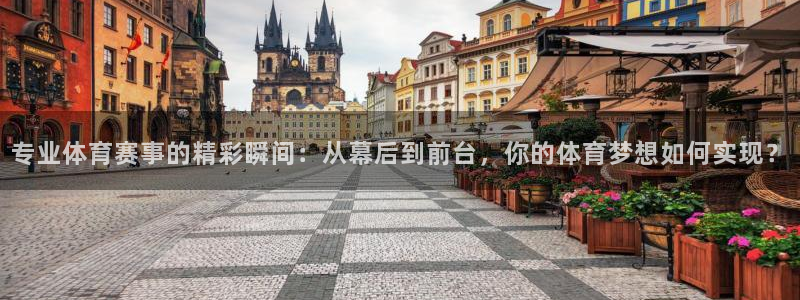 专业体育赛事的精彩瞬间：从幕后到前台，你的体育梦想如何实现？