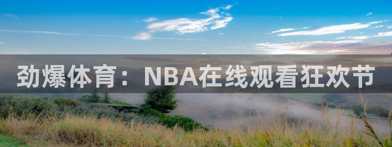 劲爆体育：NBA在线观看狂欢节