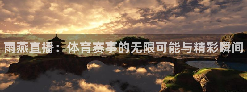 雨燕直播：体育赛事的无限可能与精彩瞬间