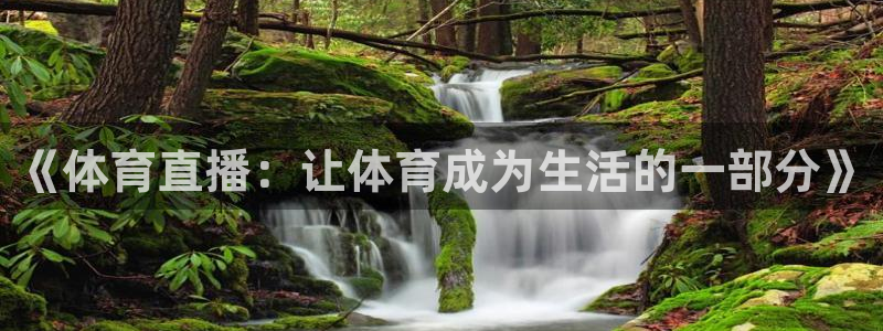 《体育直播：让体育成为生活的一部分》