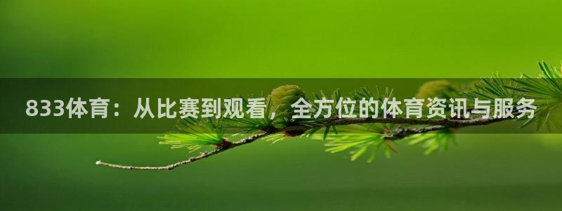 833体育：从比赛到观看，全方位的体育资讯与服务