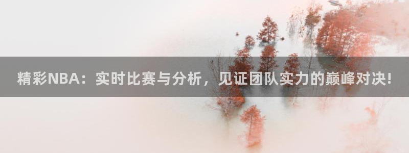 精彩NBA：实时比赛与分析，见证团队实力的巅峰对决!