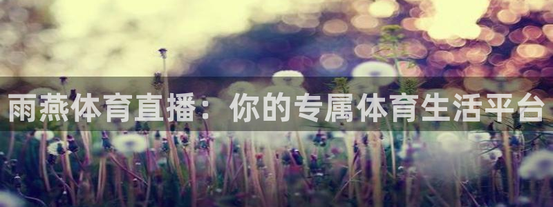 雨燕体育直播：你的专属体育生活平台