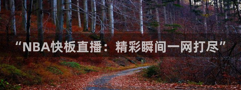 “NBA快板直播：精彩瞬间一网打尽”