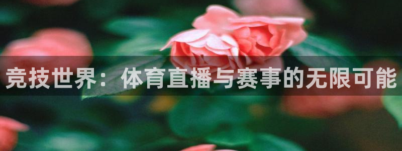 竞技世界：体育直播与赛事的无限可能