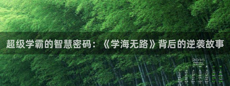超级学霸的智慧密码：《学海无路》背后的逆袭故事