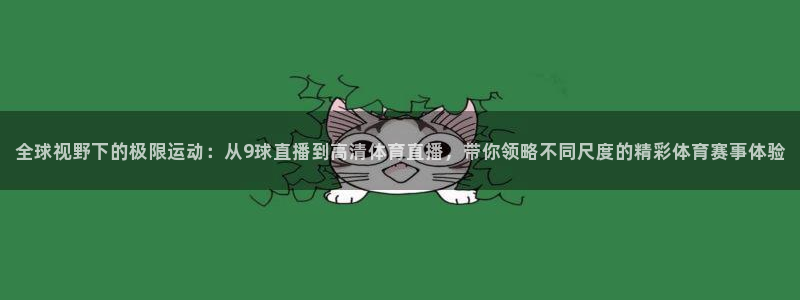 全球视野下的极限运动：从9球直播到高清体育直播，带你领略不同尺度的精彩体育赛事体验