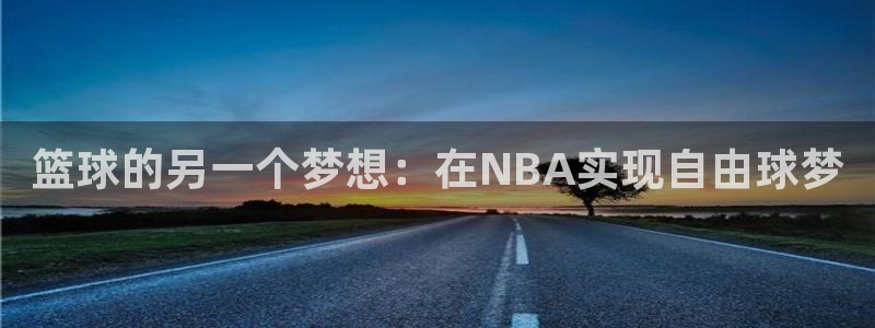 篮球的另一个梦想：在NBA实现自由球梦