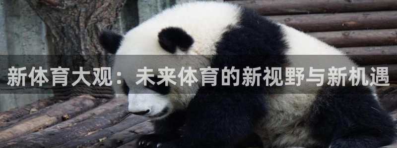 新体育大观：未来体育的新视野与新机遇