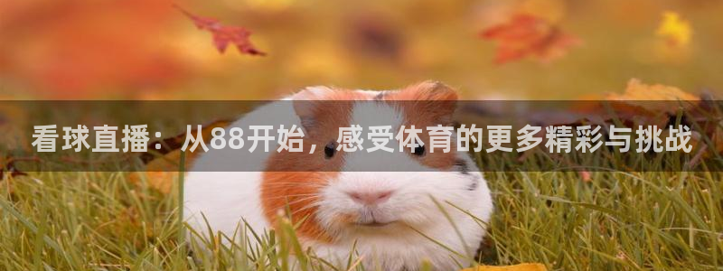 看球直播：从88开始，感受体育的更多精彩与挑战