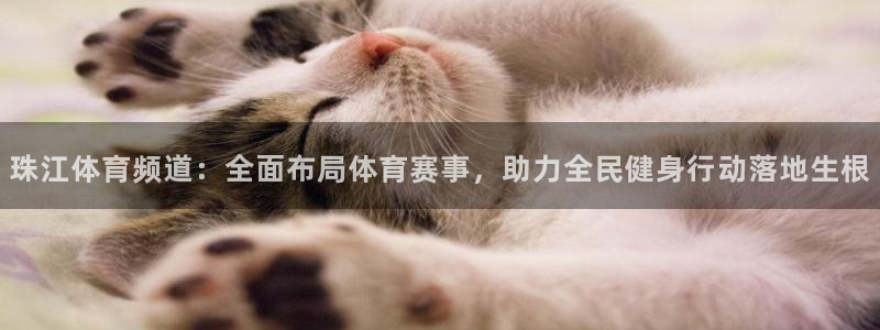 珠江体育频道：全面布局体育赛事，助力全民健身行动落地生根