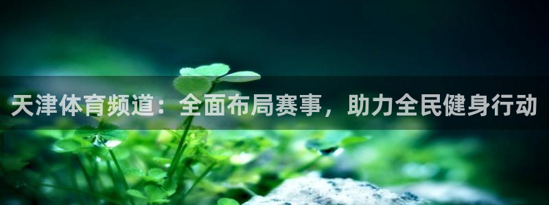天津体育频道：全面布局赛事，助力全民健身行动