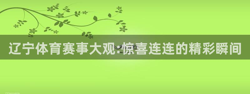 辽宁体育赛事大观:惊喜连连的精彩瞬间