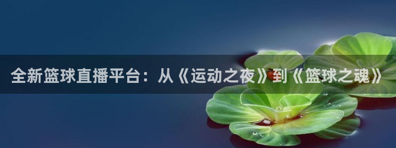 全新篮球直播平台：从《运动之夜》到《篮球之魂》