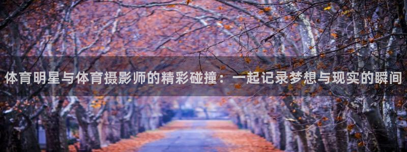 体育明星与体育摄影师的精彩碰撞：一起记录梦想与现实的瞬间
