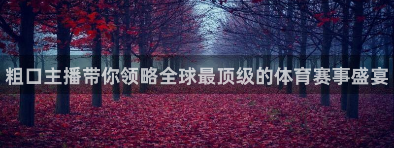 粗口主播带你领略全球最顶级的体育赛事盛宴