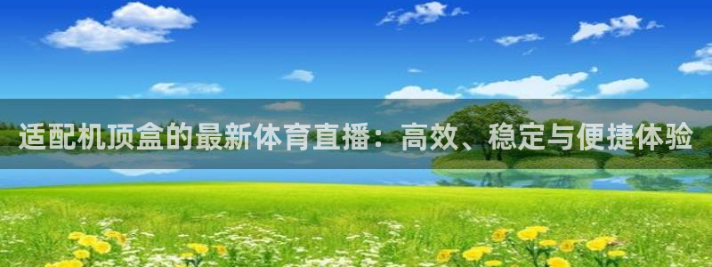 适配机顶盒的最新体育直播：高效、稳定与便捷体验