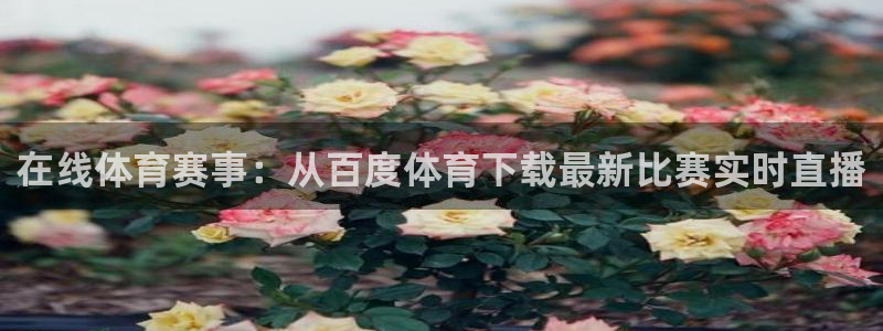 在线体育赛事：从百度体育下载最新比赛实时直播
