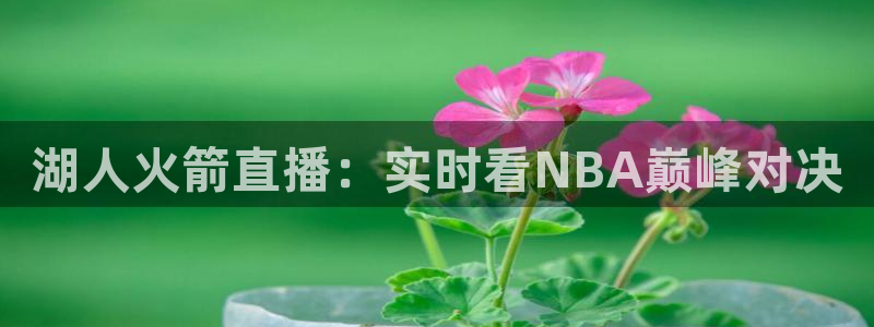 湖人火箭直播：实时看NBA巅峰对决
