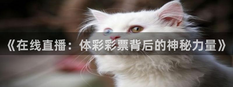 《在线直播：体彩彩票背后的神秘力量》