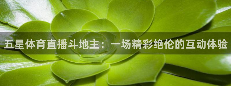 五星体育直播斗地主：一场精彩绝伦的互动体验
