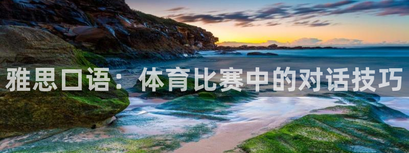 雅思口语：体育比赛中的对话技巧