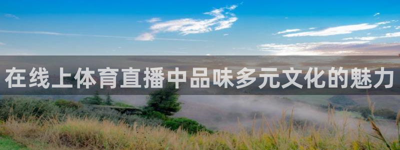 在线上体育直播中品味多元文化的魅力