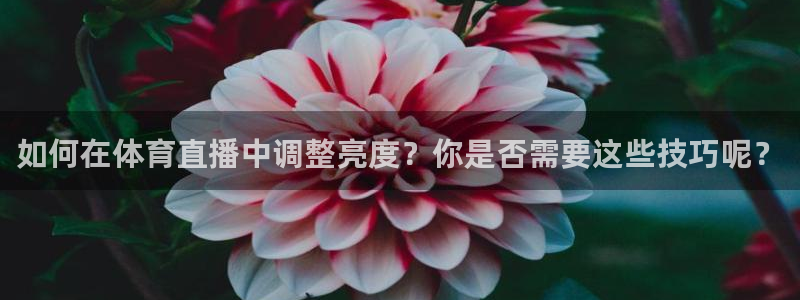 如何在体育直播中调整亮度？你是否需要这些技巧呢？