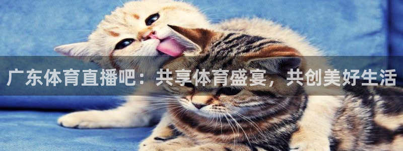 广东体育直播吧：共享体育盛宴，共创美好生活