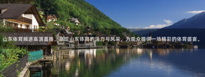 山东体育频道高清直播，展现山东体育的活力与风采，为观众提供一场精彩的体育盛宴。