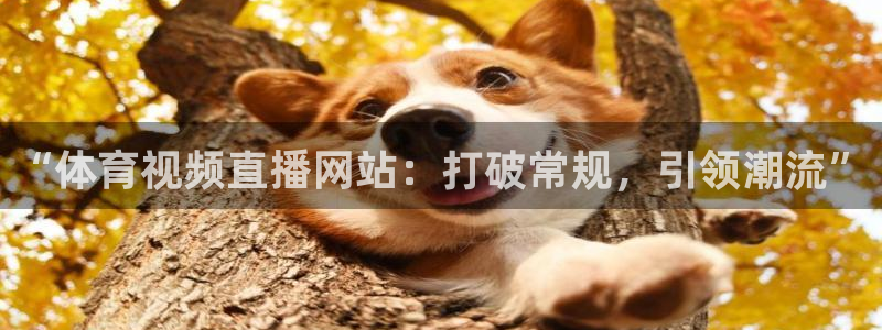 “体育视频直播网站：打破常规，引领潮流”