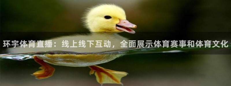 环宇体育直播：线上线下互动，全面展示体育赛事和体育文化