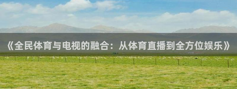 《全民体育与电视的融合：从体育直播到全方位娱乐》