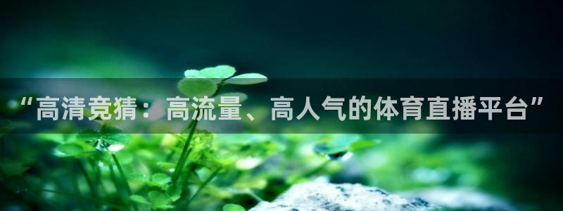 “高清竞猜：高流量、高人气的体育直播平台”
