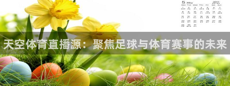 天空体育直播源：聚焦足球与体育赛事的未来