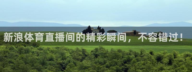 新浪体育直播间的精彩瞬间，不容错过！