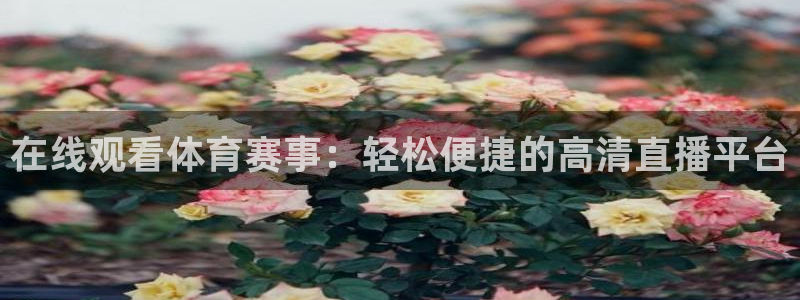 在线观看体育赛事：轻松便捷的高清直播平台