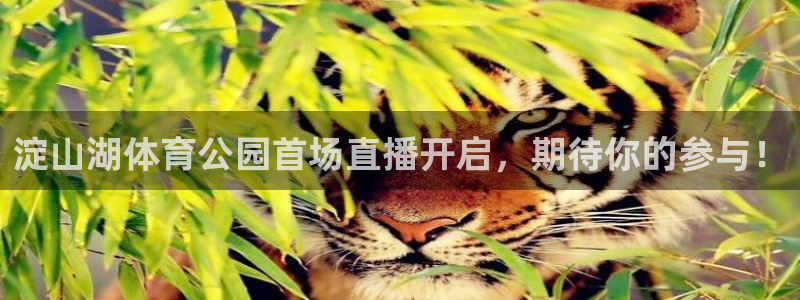 淀山湖体育公园首场直播开启，期待你的参与！