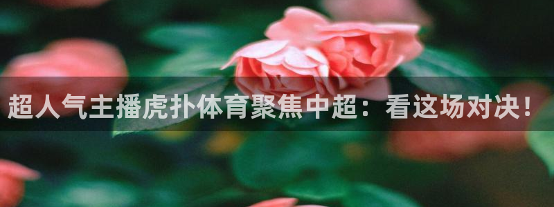 超人气主播虎扑体育聚焦中超：看这场对决！