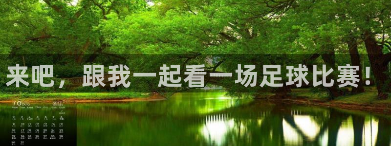 来吧，跟我一起看一场足球比赛！