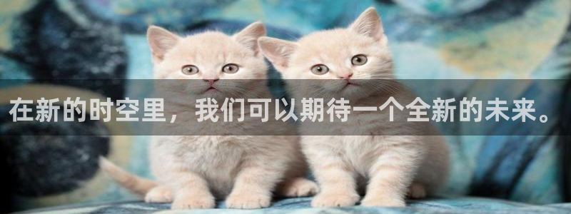 在新的时空里，我们可以期待一个全新的未来。