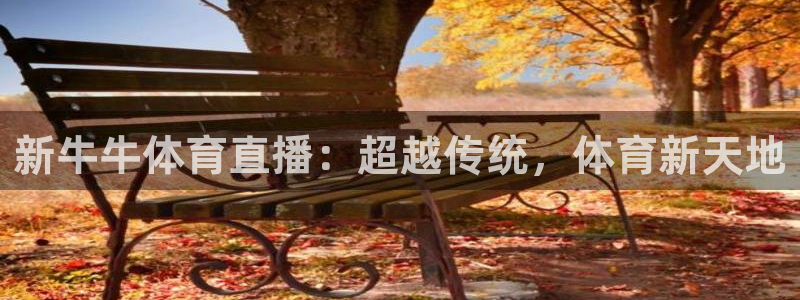 新牛牛体育直播：超越传统，体育新天地