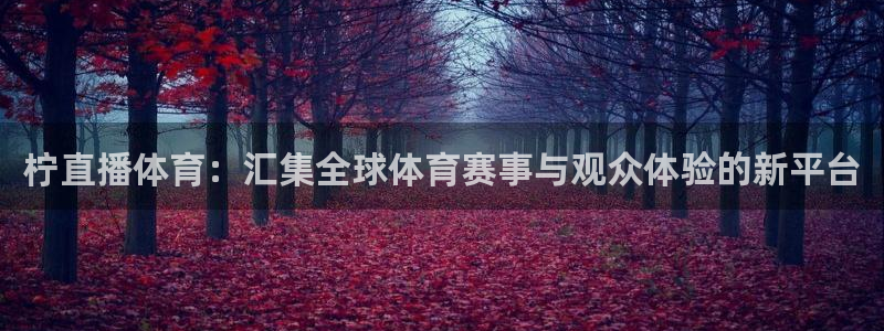 柠直播体育：汇集全球体育赛事与观众体验的新平台