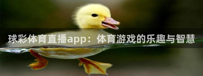 球彩体育直播app：体育游戏的乐趣与智慧
