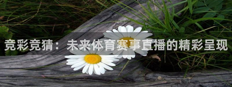竞彩竞猜：未来体育赛事直播的精彩呈现