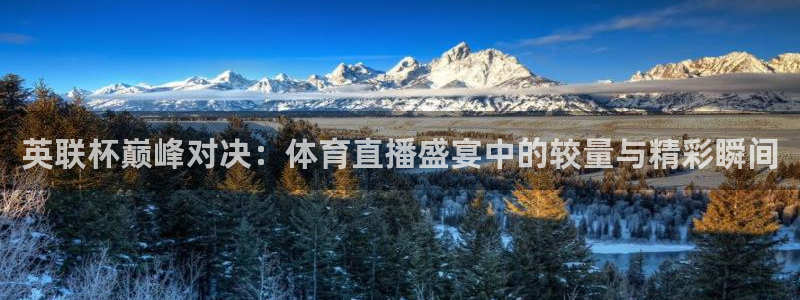 英联杯巅峰对决：体育直播盛宴中的较量与精彩瞬间